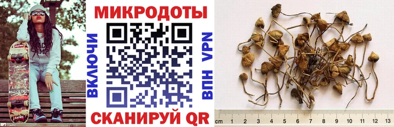 ссылка на мегу ONION  цена наркотик  Симферополь  Галлюциногенные грибы Cubensis 
